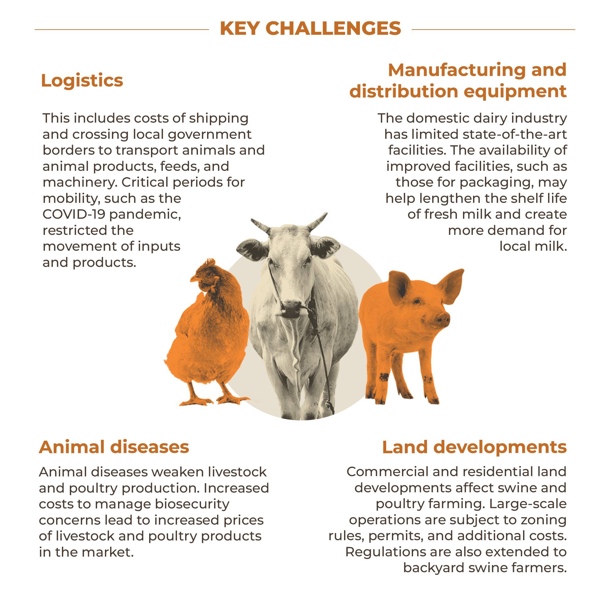 POLICY ISSUE AT A GLANCE: Enhancing the Competitiveness of the Philippine Livestock, Poultry, and Dairy Industries-PIAAG_January28_6.jpg