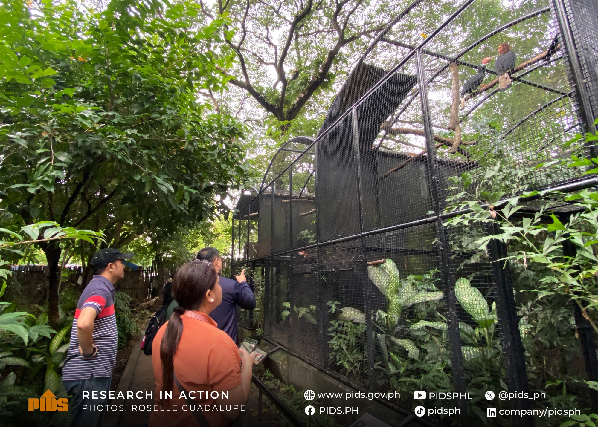 #ResearchInAction: PIDS team visits the Northern Negros Natural Park-516753933_1165424998954835_8797099334389400748_n.jpg
