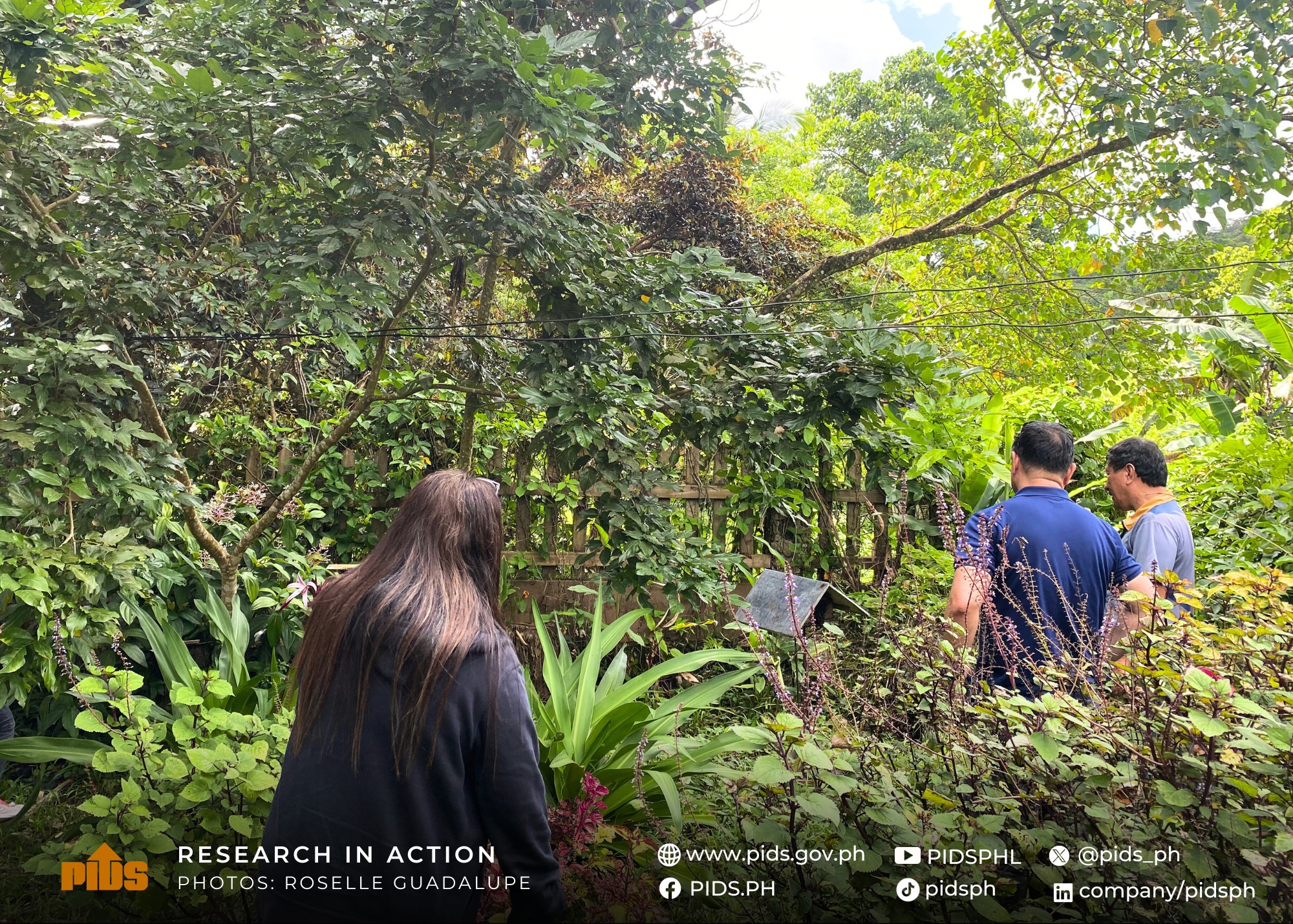 #ResearchInAction: PIDS team visits the Northern Negros Natural Park-518276197_1165425375621464_5936200505038518332_n.jpg