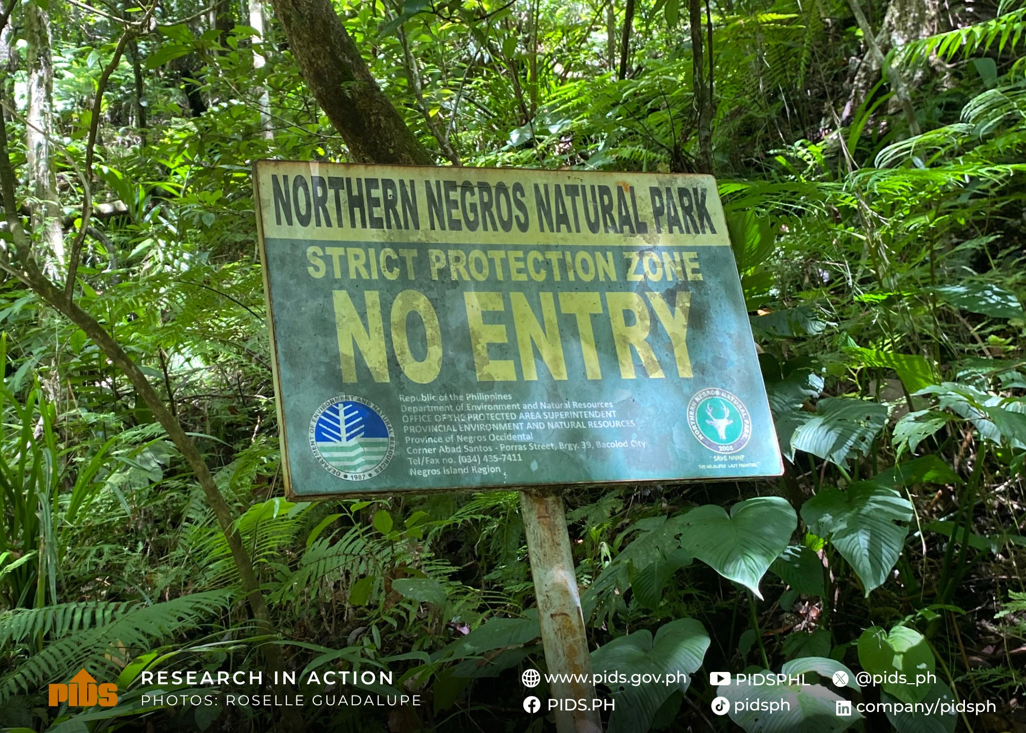 #ResearchInAction: PIDS team visits the Northern Negros Natural Park-518274947_1165425325621469_3581528539675805569_n.jpg
